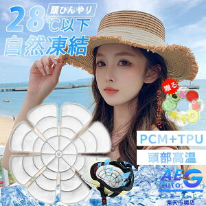 ObYXq₷ObY΍ObYڐG⊴28 MǑ΍ p  ۗ ACXV[gXq 28xR ACXpbh