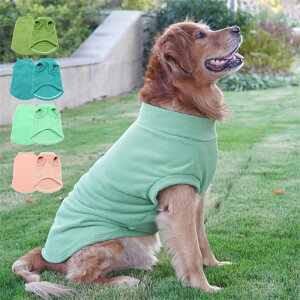 ybg Lpp Lk  Ci[ pW} Jbg\[  m ^̕ hbOEFA TVc H~ g 