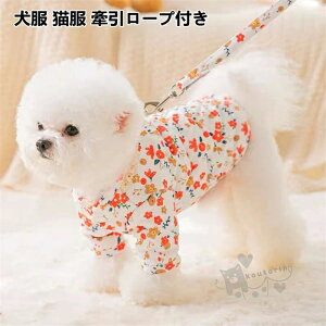  XS-XL UoEFA ȒPE h h ˊO^ [vS [vt H~p L