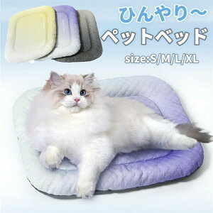 Ђ L}bg xbh ėp ybg}bg ⊴ NbV xbh  ybgxbh }bg ڐG⊴ NbV xbh