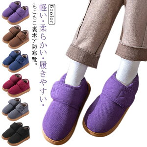 fB[ C Xb| Y NV[Y b hC [V[Y {A  L N C hu[c