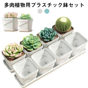  ϗtA K[fjO   XNGA 󂯎M T{e  t[|bg vX`bN Aؔ v^[