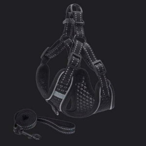 g[j n[lX[hZbg  Lbg [h n[lX[hZbg  EFAn[lX ^ n[lX ^ 