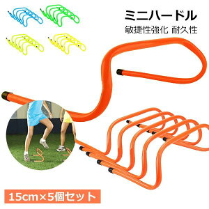 싅 tbgT oXP TbJ[  ^ѕ֗ L[Xgbvt [P[X g[jO 15cm 5Zbg