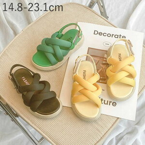 y 킢  }WbNe[v tFCNU[  ₷ ؂ tbg OfBG[^[ LbYT_