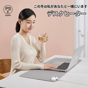 wK fXNpbg  plq[^[ fXN}bg }EX}bg q[^[ 茳 fXN PSEF ߓd ȃGl ₦΍ ^