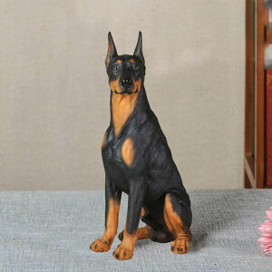 ̒u 蕨 AȌ  |W F ̃I[ig ̃IuWF u ̒u    K[fjO