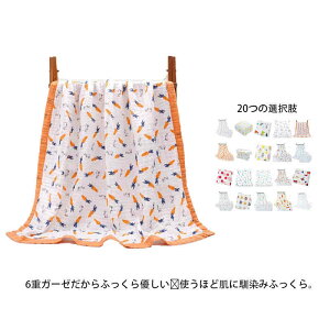 ۈ珊 QPbg j Ƃ蕿  6dD Ԃ xr[ qǂ uPbg 6dK[[ 110×105 H K[[Pbg