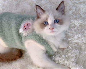  RR h {A g   ybgpi Ȃ ybgEFA H~ xXg ybg g h΍ L