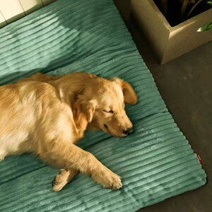 ӂ  ybgNbV  xbh \t@[ ybg}bg pNbV ^ ybgxbh 􂦂 lRxbh ˂