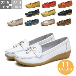 f p pvX V[Y {v [q[ 3cm Sn  Xb| 傫TCY Xb| fB[X [t@[