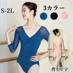 o oGpI^[h V[X[ WY_X V̑ og WjA VlbN     l I^[h