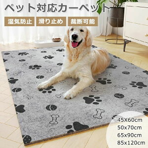 ~  I[V[Y  J[ybg  T[N}bg ybgJ[ybg sDzO J[ybgO 􂦂