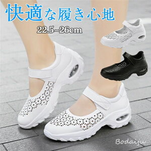 fB[XE Xb| jOV[Y Xj[J[ V[Y y V[Y fB[X Xj[J[ ɂ