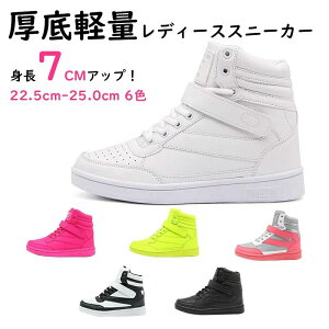 nCq[ yXb| lC r Cq[Xj[J[ V[Y ^C L b y  nCJbg  fB[X