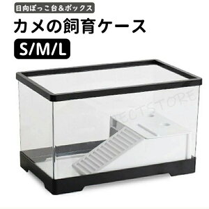 NTK ~hK GTM ڂ ^[g^N {bNX  񂿂イ 60×30×29cm  T P[X 