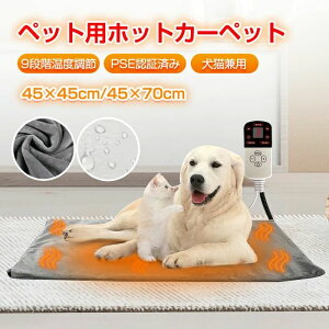 ybgpzbgJ zbg}bg 4iK^C}[ ybgq[^[ L zbgJ[ybg 3Pۏؕt L  zbgJ[ybg ybg