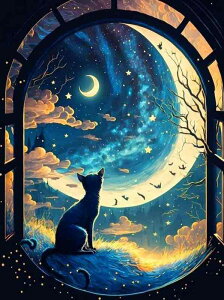 Lbg _ChyCeBO _CAhA[g XNGA ABr[Y LƎO Night Fancy lpr[Y 