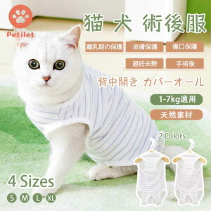  ėp ʋC gȒP  wJ pEFA 畆ی ی rߖh~  D Petilet ppEFA p㕞 