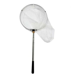 V ċx c[  q y ߉\ Lk 5iLk   Ƃ A~ ̏W  lbg