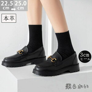 C/ r Ȃ TCY d ʋ pvX  25.0cm 22.5cm 3.5cmq[ {v ₷  fB[X