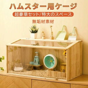 nX P[W nX^[  nX^[P[W ؃Zbg nEX ؑ AN ^oKpP[W 傫