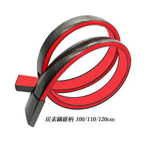 u[Lvt 120cm 110cm 100cm Yf@ە gNX|C[ y J[{^Cv LEDCgt ėp