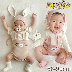  RX`[ ETM 2_Zbg ݂ Xq  e xr[ Jo[I[    p[X Ԃ