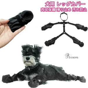 h~ ~ ی Ol{pc UɒEȂ  [vڑ\ pV[Y Ol{pc