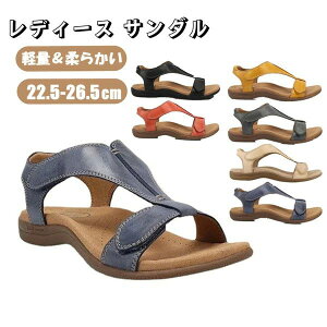 EFbW\  Xbp Xj[J[T_ ₷ T_ fB[X C T}[T_ Ȃ fB[X T_