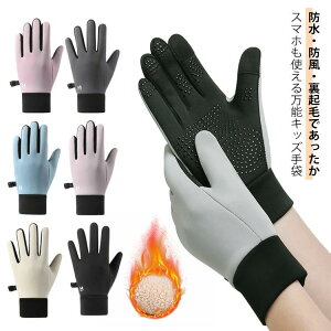 h ~ TCN oR ۉ h ̎q LbY ^b`plΉ ] WjA N ~ {At[X qp j