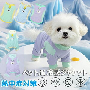 Jt gbvX ^    MǑ΍ UVJbg h ʋC ⊴ N[ ⊴ ڐG ^Ngbv Ђ ĕ