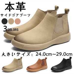 NтȂ Nт/ amC ZC C ~C JWAu[c U[u[c V[gu[c Yu[c TChSAu[c