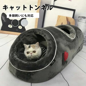 L  `ɂ S BnEX ybgnEX ~ ybgxbh Lgl ӂӂ Lbggl gl L ~