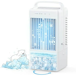 ~jGAR 900MLe X|bgN[[ N[[ ^ @ N[[ ╗y2025V?͕?U苭