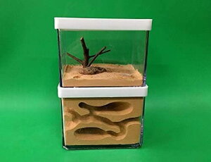 R ċx  q apP[X Ǘ₷ AɐB ێ ʋC apP[X A ώ@Lbg