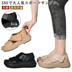 5cm gAbv ₷  fB[X  ʋCK L ʋC X|[cT_ Xj[J[ T_ lԍHw r