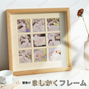 v[ Mtg fBXvC CeA EH[A[g i`  ʐ^ Ǌ| 2024V 9 ܂tHgt[