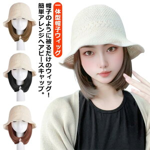   eq v[g oX[u qp  C ӂӂ tp |`  }} LbY lp oX[u