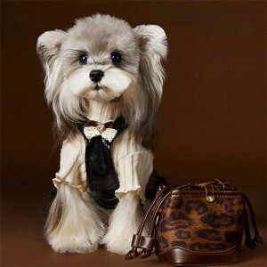  t  {t hbOEFA Ȃ Jo[  t ~ H L  s[X 1.5`11kg ybg