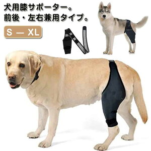 ybgpi  nr  veN^[ ی EP x G Œ ֐ߕی O㍶Ep ֐߃veN^[ p T|[^[