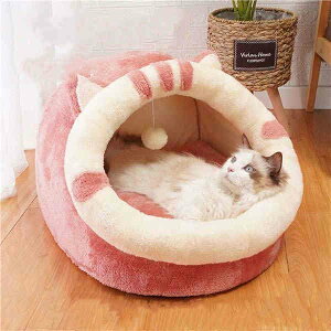 _炩 ~  ybgxbh ~p ^  ˂nEX  ybg}bg LnEX  NbV h[^