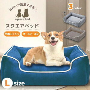 xb L ̃xbh xbg NbV ybg L pxbh xbh ybgxbh ėp ~p XNGA ^ 􂦂 xbh