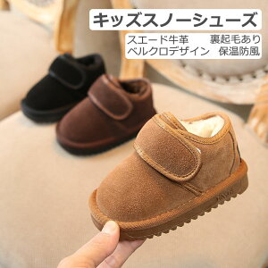 V[g ۉ _炩\[ g N xN  XG[hv fB[X l qu[c LbY ~߉H