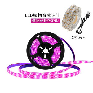 Ԑ Cg A𑣐i ȃGl ϗtA 5m 4m 3m 2m 1m Cg k͔| ƒ؉ A led A琬Cg