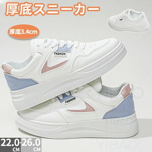 Cq[Xj[J[  y ₷ ꂢ C V[Y EH[LO Xj[J[  fB[X Xj[J[