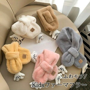  c xr[  t@bVG g ӂ eBybg}t[ O[ 3_ZbgLbY n ̎q q