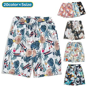 V pc  An fB[X Y pc T[tpc T[tV[c V[g n[tpc 傫TCY An C