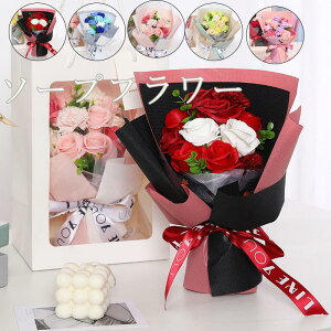 o  Mtg  a Ӊ v[g  AWg Mtg hV̓ ̓ u[P \[vt[Mtg ԑ