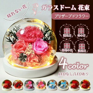 LO hV̓ ̓ zCgf[ v[g ͂Ȃ LED  t[ J[l[V {̉ KXh[